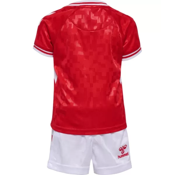 Camisola Dinamarca Criança Equipamento 1ª Euro 2024