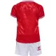 Camisola Dinamarca Criança Equipamento 1ª Euro 2024
