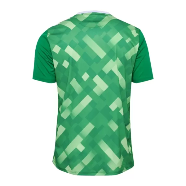 Camisola Guarda-Redes Dinamarca Homem Euro 2024 Verde