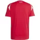 Camisola Hungria Homem Equipamento 1ª Euro 2024