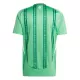 Camisola Northern Irlanda Homem Equipamento 1ª 2024