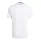 Camisola Northern Irlanda Homem Equipamento 2ª 2024