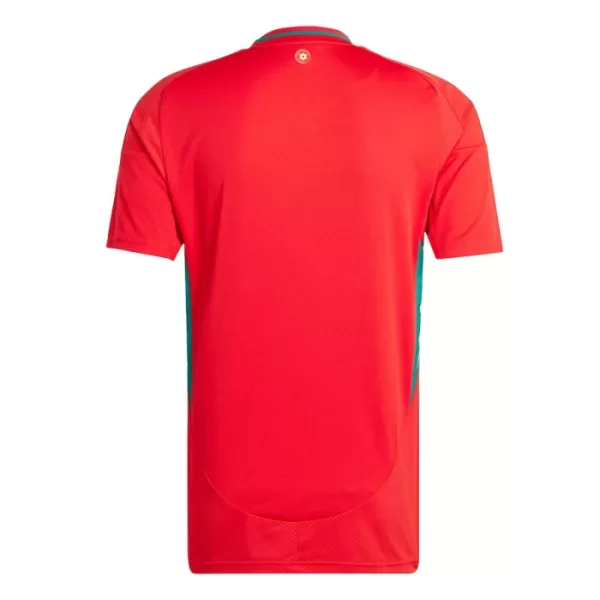Camisola País de Gales Homem Equipamento 1ª 2024