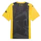 Camisola Borussia Dortmund Aniversário Homem 2023/24