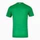 Camisola Irlanda Homem Equipamento 1ª 2024/25