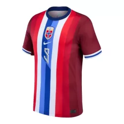 Camisola Noruega Haaland 9 Homem Equipamento 1ª 2024