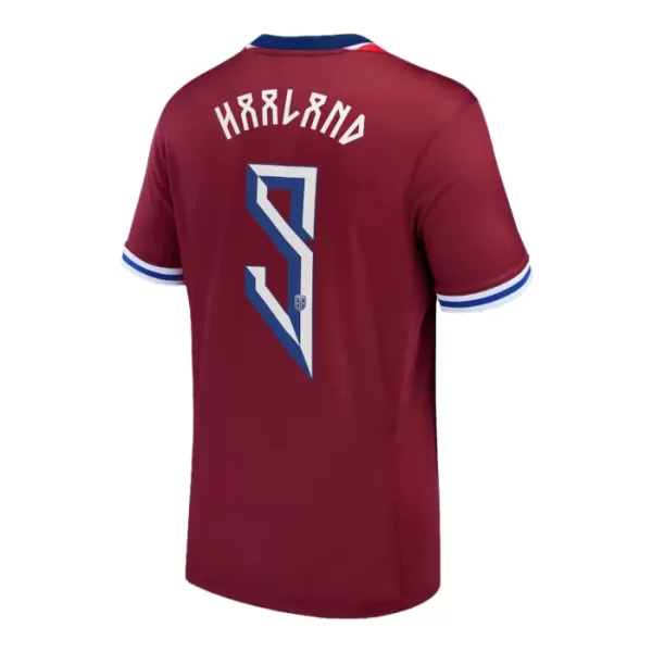 Camisola Noruega Haaland 9 Homem Equipamento 1ª 2024