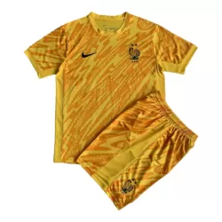 Camisola Guarda-Redes França Criança Euro 2024 Amarela Camisola Guarda-Redes França Criança Euro 2024 Amarela