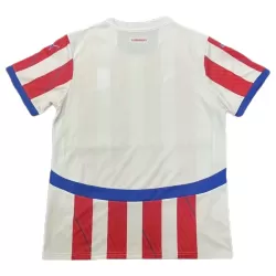 Camisola Paraguai Homem Equipamento 1ª 2024