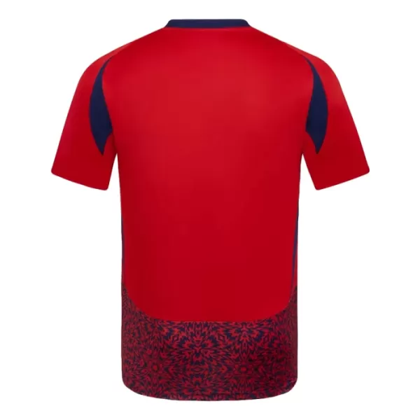 Camisola Costa Rica Homem Equipamento 1ª 2024