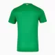 Camisola Irlanda Criança Equipamento 1ª 2024/25