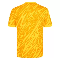 Camisola Guarda-Redes Tottenham Hotspur Homem 2024/25 Amarela