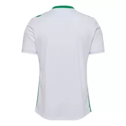 Camisola AS Saint-Étienne Homem Equipamento 2ª 2024/25
