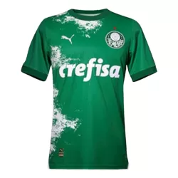 Camisola Palmeiras Homem 2024 Verde - Especial Camisola Palmeiras Homem 2024 Verde - Especial