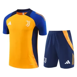 Camisola Juventus Pre-Match Criança 2024/25 Laranja Camisola Juventus Pre-Match Criança 2024/25 Laranja