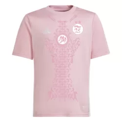 Camisola Nigéria Homem 2024 Rosa - Especial Camisola Nigéria Homem 2024 Rosa - Especial