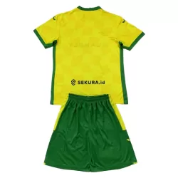 Camisola Norwich City Criança Equipamento 1ª 2024/25