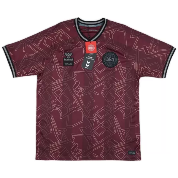Camisola Dinamarca Homem 2024/25 - Especial