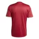 Camisola FC Bayern de Munique Aniversário Homem 2024/25