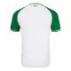 Camisola Irlanda Homem Equipamento 3ª 2024/25