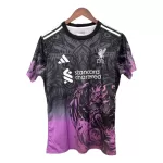 Camisola Liverpool Homem 2024/25 Roxo - Especial