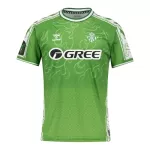 Camisola Real Betis Pre-Match Homem 2024/25