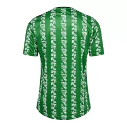 Camisola Real Betis Pre-Match Homem 2024/25 Verde