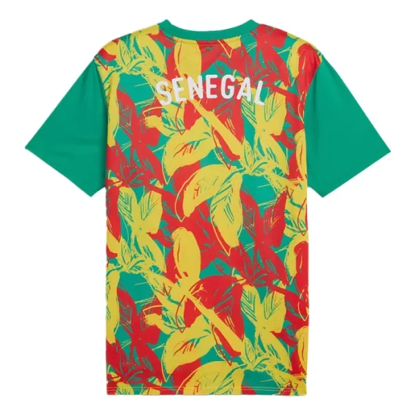 Camisola Senegal Pre-Match Homem 2024/25