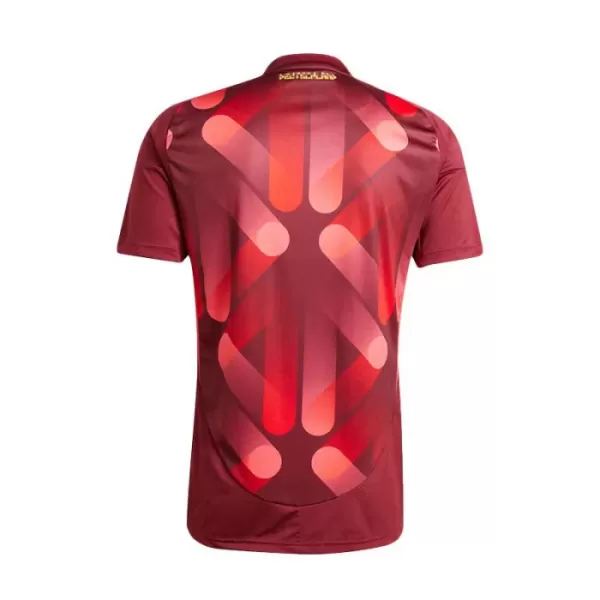Camisola Alemanha Homem Equipamento 2ª 2025