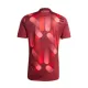 Camisola Alemanha Homem Equipamento 2ª 2025