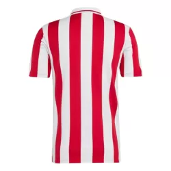 Camisola Olympiakos 100th Aniversário Homem 2024/25
