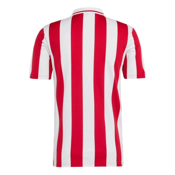 Camisola Olympiakos 100th Aniversário Homem 2024/25