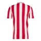 Camisola Olympiakos 100th Aniversário Homem 2024/25