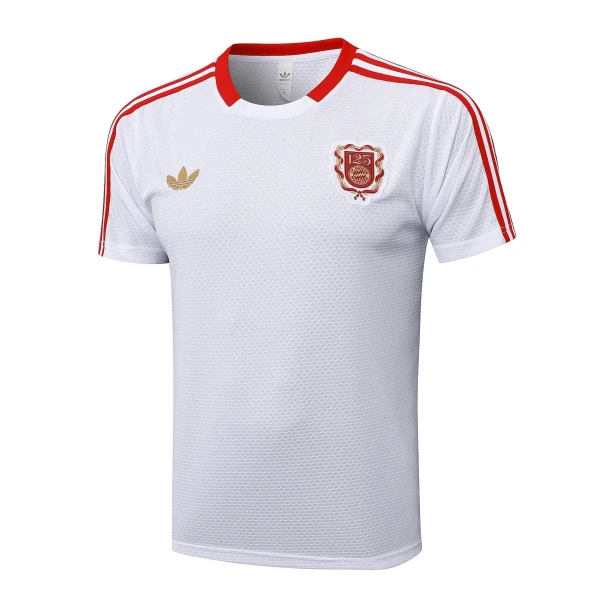 Camisola FC Bayern de Munique Aniversário Homem 2024/25 Camisola FC Bayern de Munique Aniversário Homem 2024/25