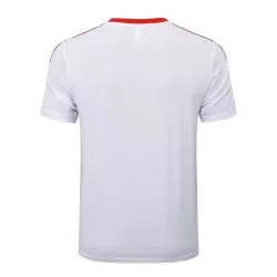 Camisola FC Bayern de Munique Aniversário Homem 2024/25