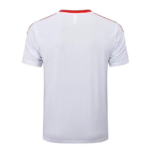 Camisola FC Bayern de Munique Aniversário Homem 2024/25