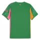 Camisola Guarda-Redes Manchester City Homem 2025-26 Verde