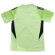 Camisola Guarda-Redes Newcastle United Homem 2025-26