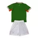 Camisola Irlanda Criança Equipamento 1ª 2025-26