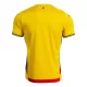 Camisola Romênia Homem Equipamento 1ª 2025