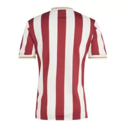 Camisola FC Nurnberg Aniversário Homem 2024/25