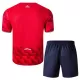 Camisola Lille OSC Criança Equipamento 1ª 2025-26