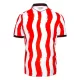Camisola Stoke City Homem Equipamento 1ª 2025-26