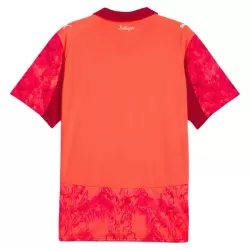 Camisola Guarda-Redes Palmeiras KidSuper Homem 2025-26