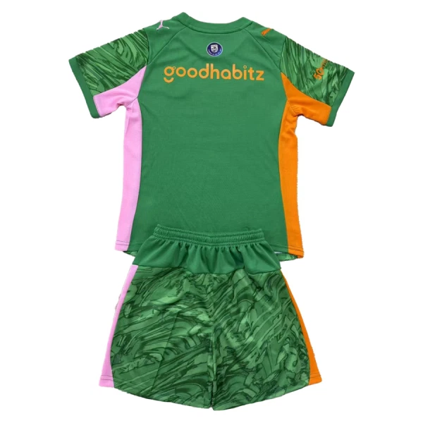 Camisola Guarda-Redes PSV Eindhoven Criança 2025-26 Verde