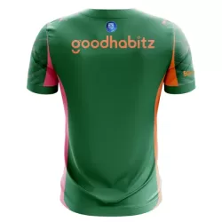 Camisola Guarda-Redes PSV Eindhoven Homem 2025-26 Verde