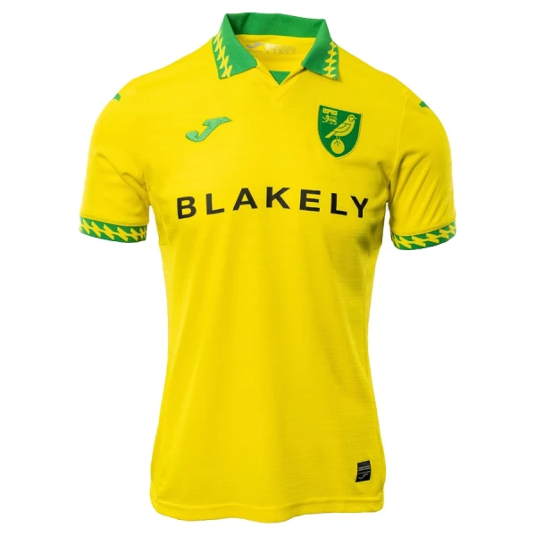 Camisola Norwich City Homem Equipamento 1ª 2025-26 Camisola Norwich City Homem Equipamento 1ª 2025-26