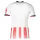 Camisola SC Freiburg Homem Equipamento 1ª 2025-26