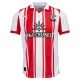 Camisola Southampton Homem Equipamento 1ª 2025-26 Camisola Southampton Homem Equipamento 1ª 2025-26