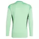 Camisola Guarda-Redes Ajax Amsterdam Homem 2025-26 Verde Manga Comprida